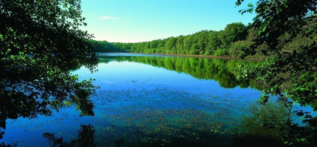 Lac Foret d'Orient