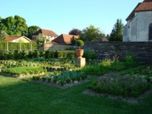 crbst_DSC03437