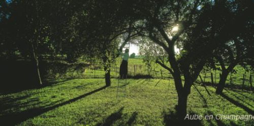 Paysage_Pays_dOthe Paysage_Pays_dOthe