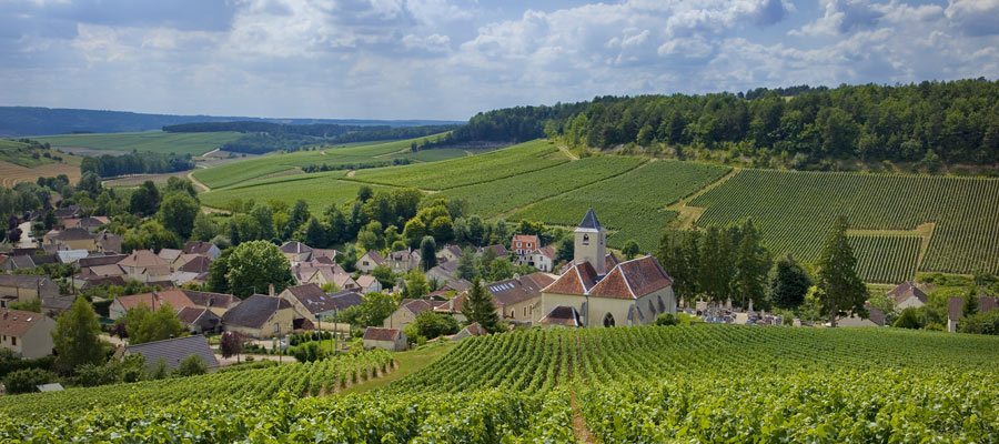 Cote-des-Bar-Viviers-sur-Artaut