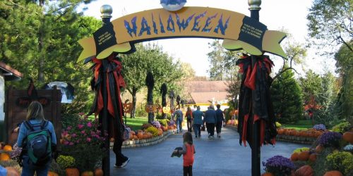 nigloween nigloween