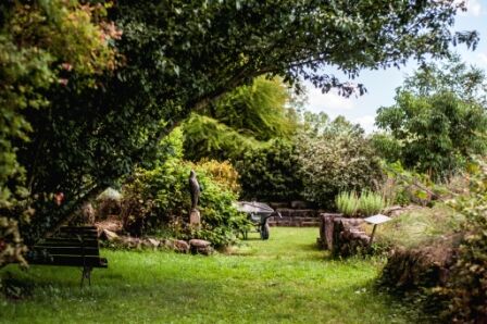 Le fruticetum et la petite arène.jpg