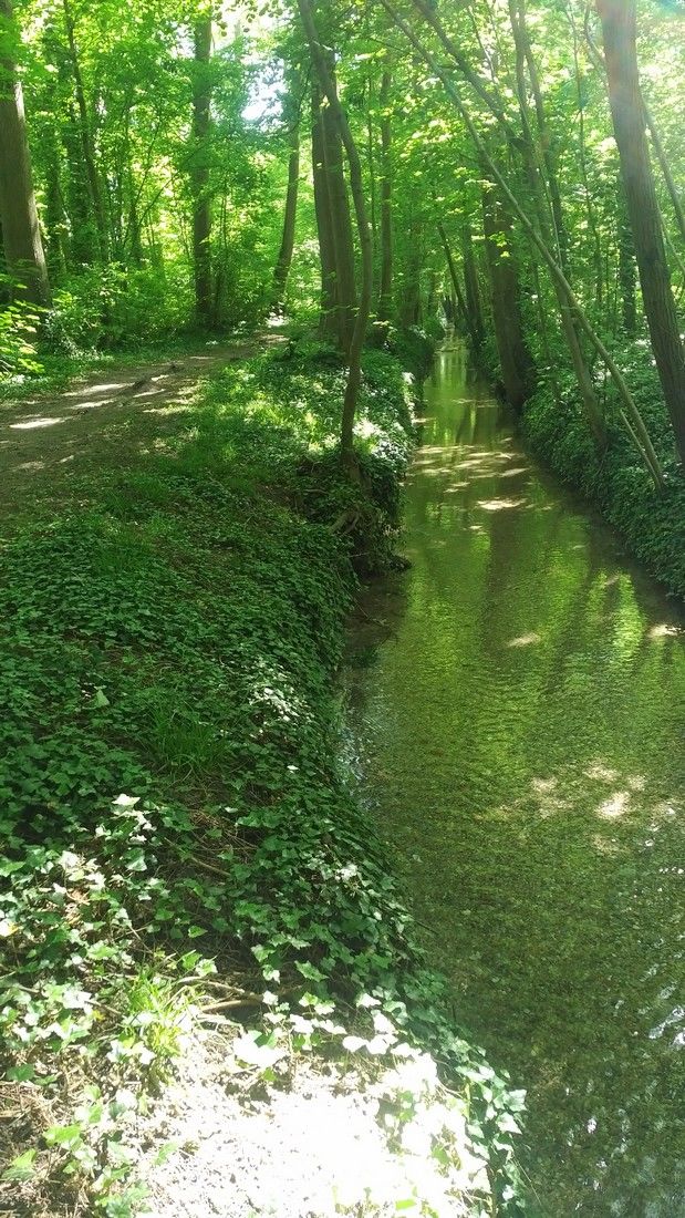canal de la fontaine Saint-Martin à Echenilly© Ville de Saint André les Verg.jpg © Ville de Saint André les Vergers