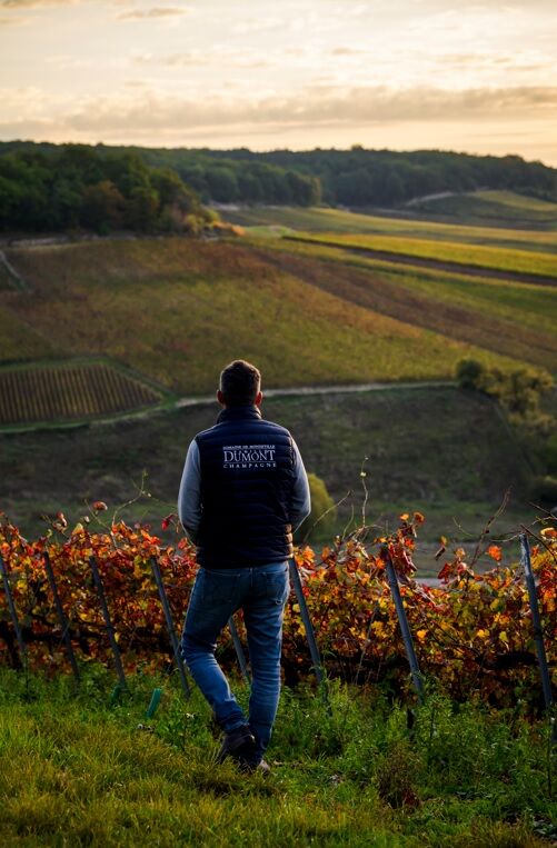 L'empreinte des fées _ Domaine de Mondeville.jpg L'empreinte des fées _ Domaine de Mondeville