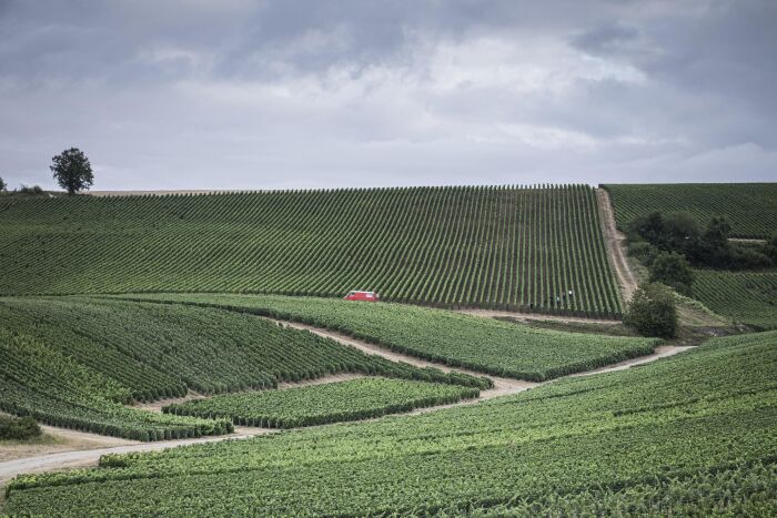 Champagne Dumont Olivier Frajman Protographe