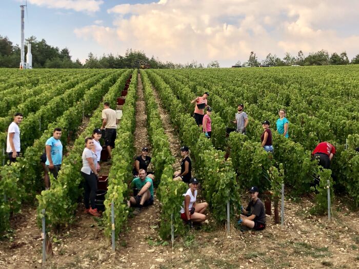 Champagne Amyot.jpg Champagne Amyot