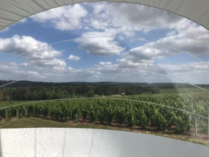 La bulle au milieu des vignes.jpg La bulle au milieu des vignes