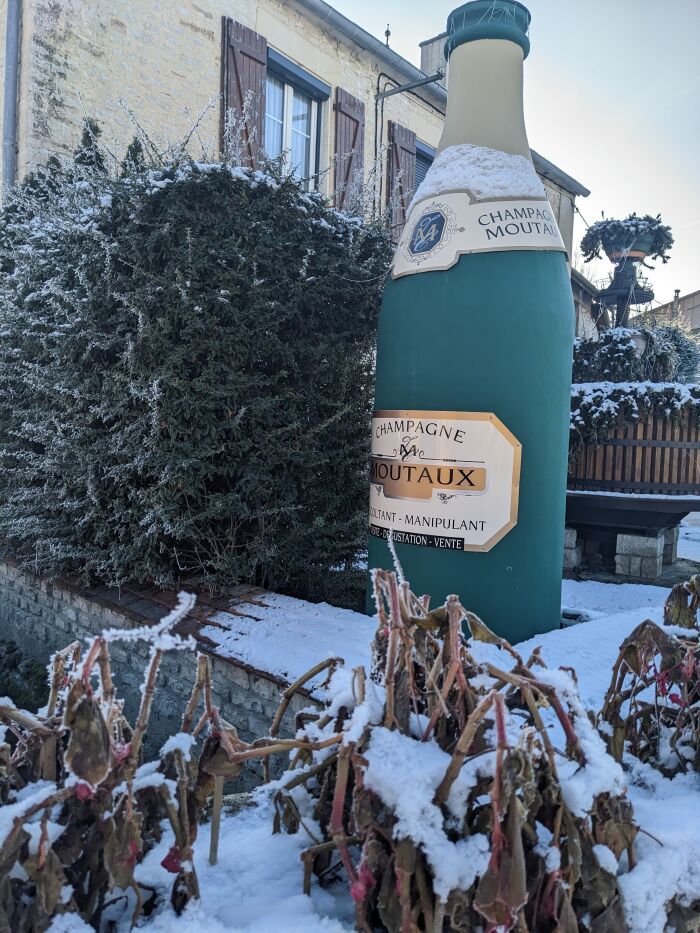 Champagne Moutaux.jpg Champagne Moutaux