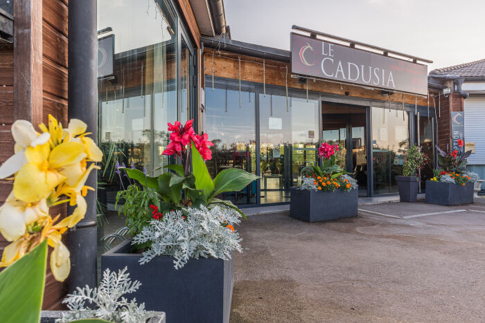 20190723-0198-HDR.jpg Cadusia