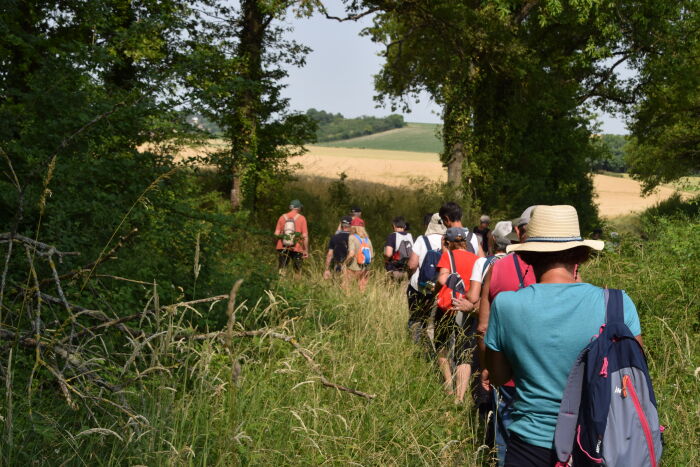 Rando Racines. CP Ambre Cnudde (35)(1).JPG Ambre Cnudde