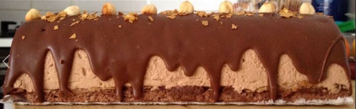 Bûche Bahia.JPG © Mlle Madeleine