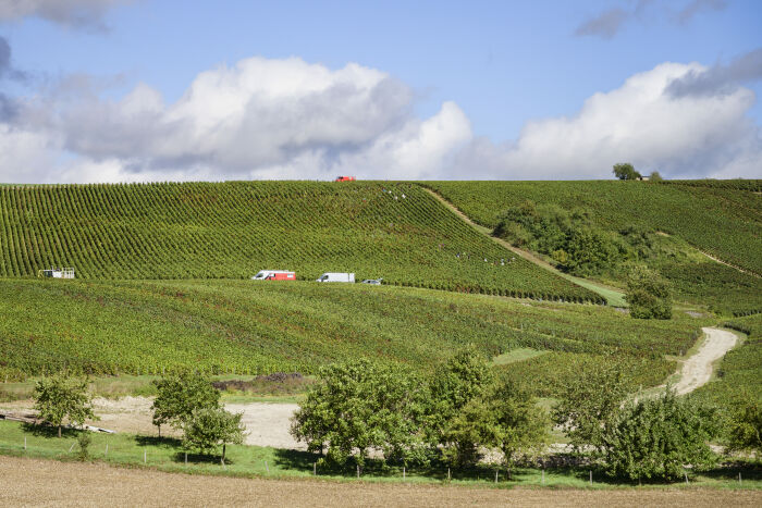 L'empreinte des fées _ Domaine de Mondeville.jpg L'empreinte des fées _ Domaine de Mondeville