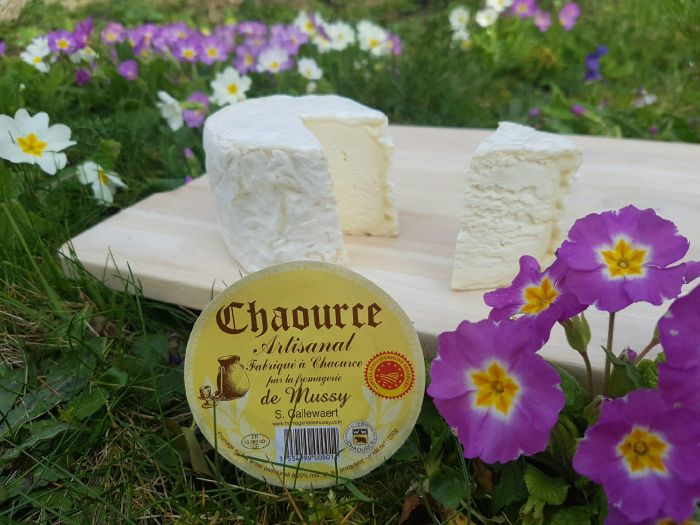 Crédit Photo - Ambre Cnudde.jpg M.DEGUY