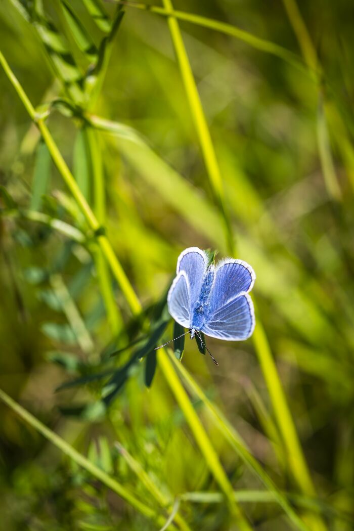 Azure