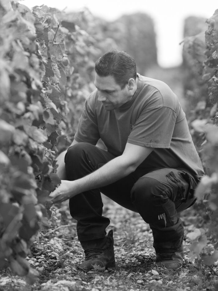 Champagne Romain Billette.jpg Champagne Romain Billette
