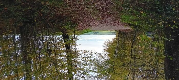 Sentier de la memoire - Nogent en Othe - CP B Collombet (24).jpg Bernal Collombet