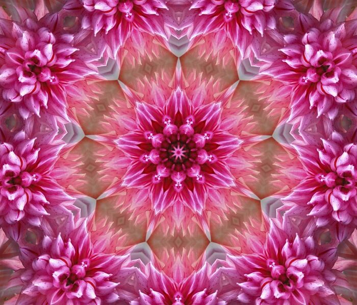 flower-1543895_960_720.jpg flower-1543895_960_720.jpg
