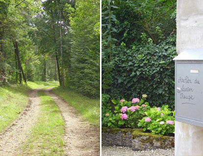 Le Laurier Rouge.jpg ©Catherine Mazarguil