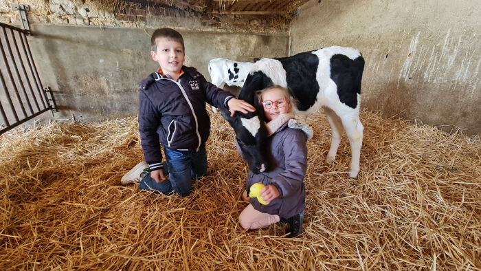 13.jpg © Ferme de la Marque