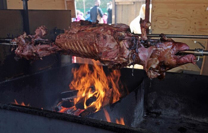 suckling-pig-1096455_960_720.jpg suckling-pig-1096455_960_720.jpg