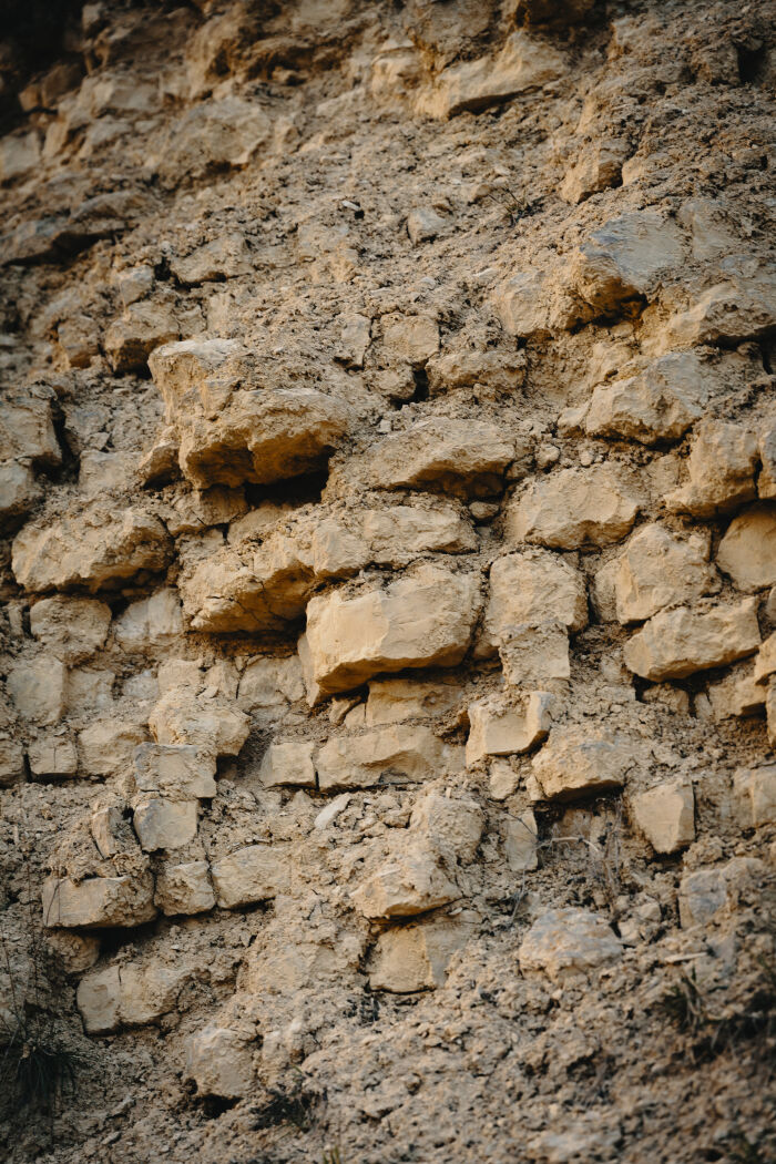 Domaine Alexandre Bonnet.jpg Domaine Alexandre Bonnet