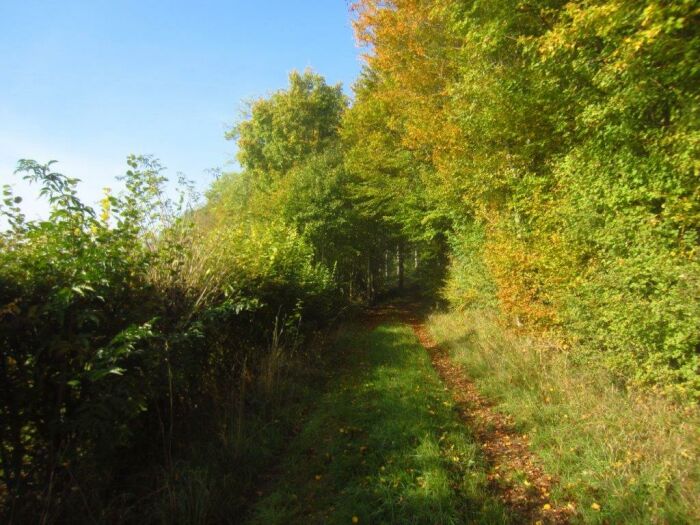 chemin-forestier.jpg Bérulle Patrimoine