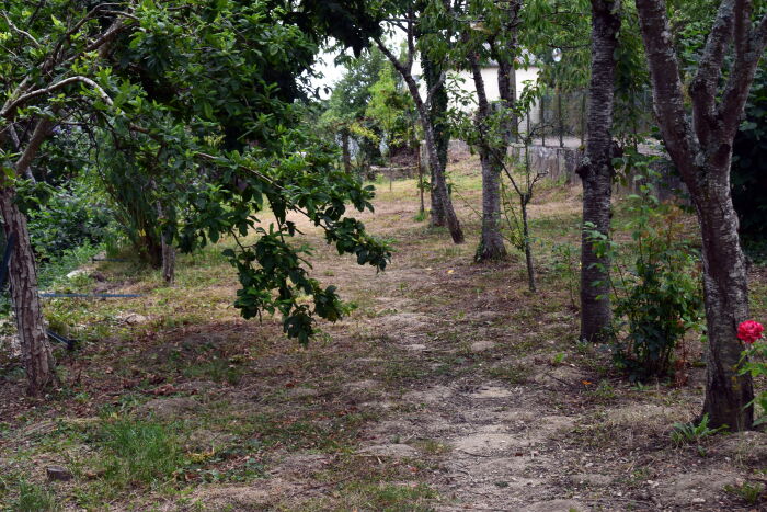 DSC_0064.JPG Bérangère Beaurin