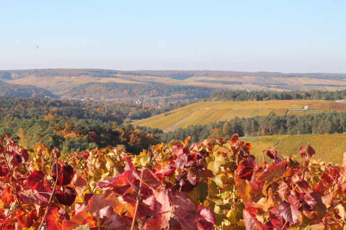 Champagne Jacques Defrance.jpg Champagne Jacques Defrance