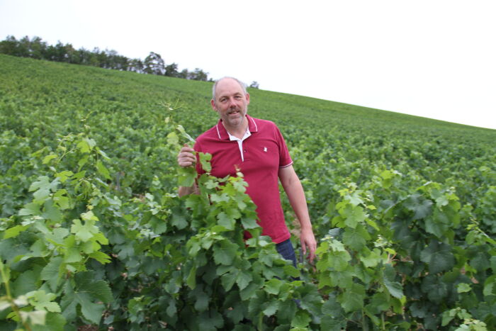 Champagne Didier Goussard.jpg Champagne Didier Goussard