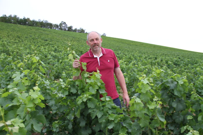 Champagne Didier Goussard.jpg