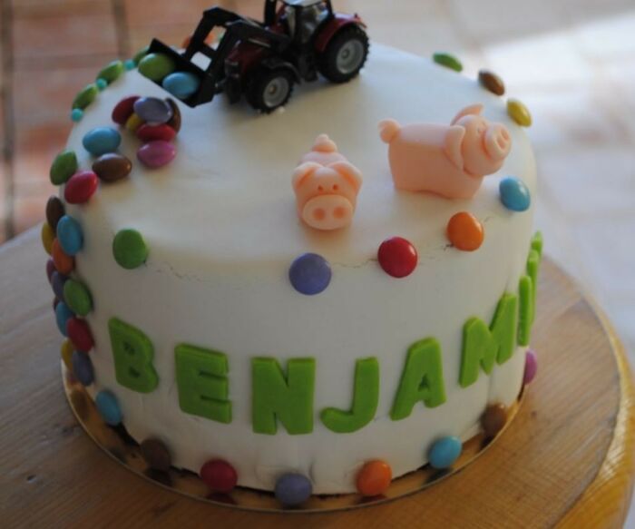 Cake design theme ferme.JPG © Mlle Madeleine