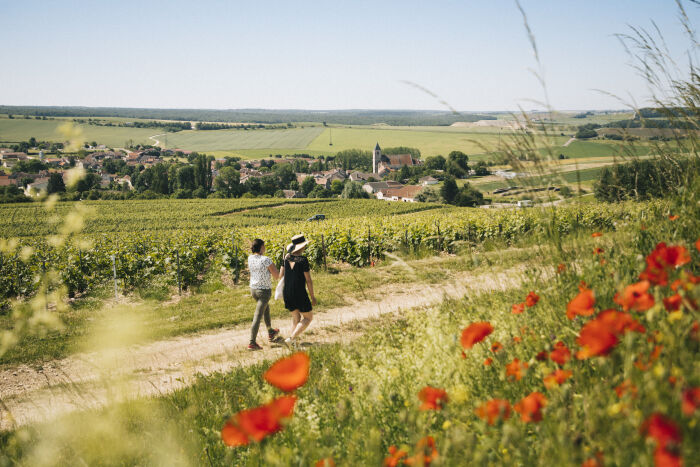 L'empreinte des fées _ Domaine de Mondeville.jpg L'empreinte des fées _ Domaine de Mondeville
