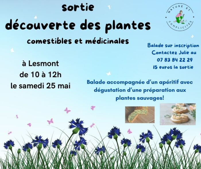 2024 05 25 - Sorties plantes sauvages comestibles et médicinales - Lesmont.jpg