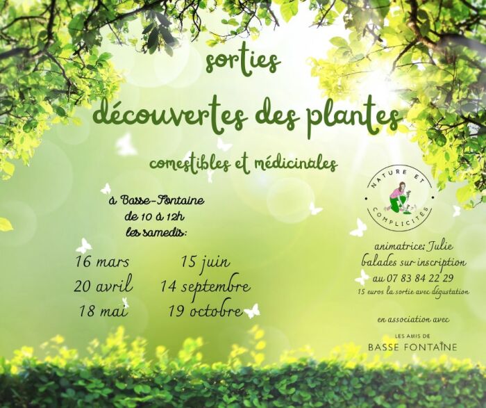 2024 - Basse Fontaine-Sorties découverte des plantes comestibles et médicinales - Nature et Complicités.jpg