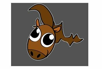 EQUITATION ST JULIEN - TLCT.JPG TLCT