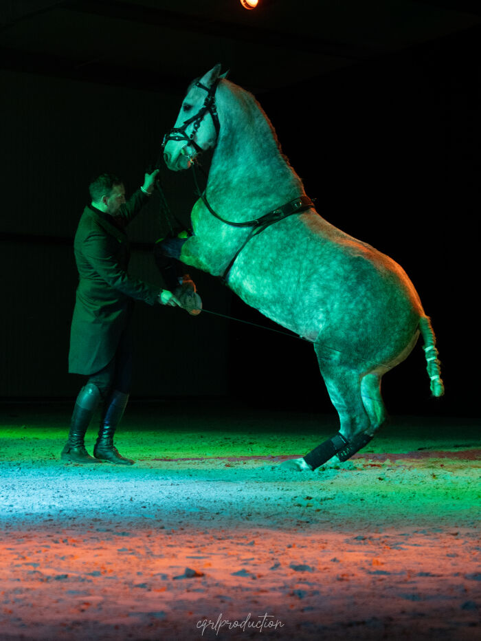 Spectacle équestre © TE de Champagne - Charlotte Bernard.jpg TE de Champagne - Charlotte Bernard