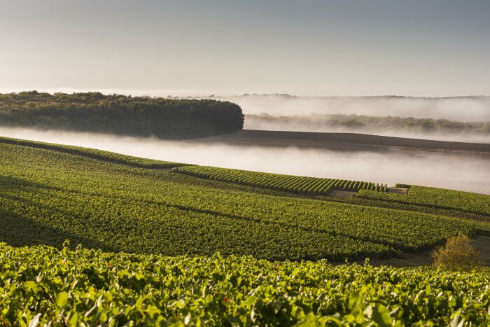 Paysage.jpg Olivier Frajman Protographe