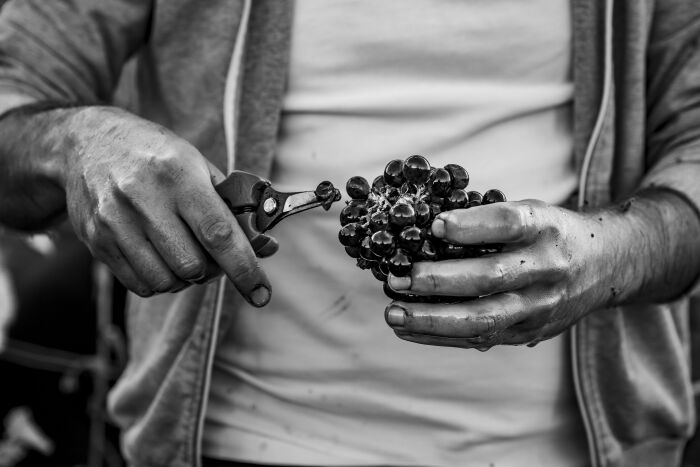 L'empreinte des fées _ Domaine de Mondeville.jpg L'empreinte des fées _ Domaine de Mondeville