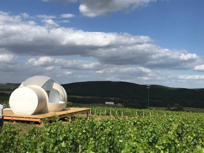 La bulle au milieu des vignes.jpg La bulle au milieu des vignes