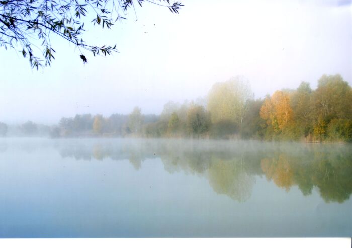Miroir brumeux - Buridant Marine .jpg Buridant Marine
