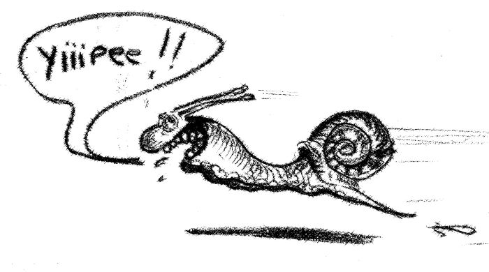 logo escargot.jpg Le Hameau aux escargots