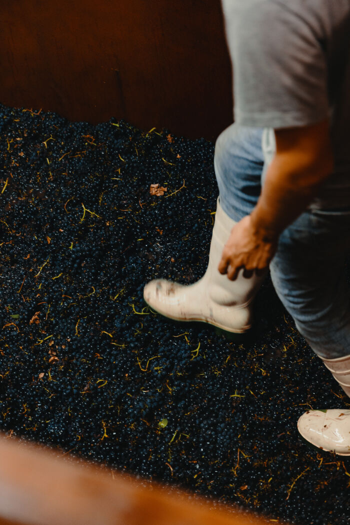 Domaine Alexandre Bonnet.jpg Domaine Alexandre Bonnet