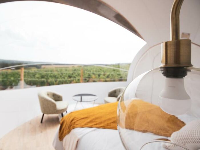 La bulle au milieu des vignes.jpg La bulle au milieu des vignes