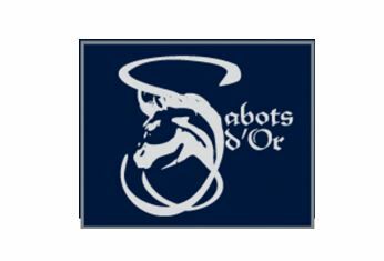 SABOT D OR - EQUITATION MENOIS - TLCT.JPG TLCT