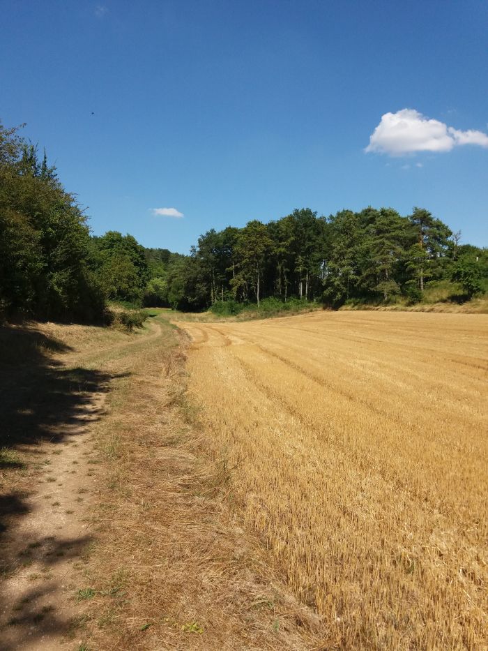 Balade Etourvy. CP Ambre Cnudde (31).jpg Ambre Cnudde