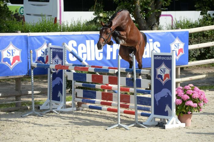 conours males 2 ans cluny photo de Pinel Pauline.jpg Pinel Pauline