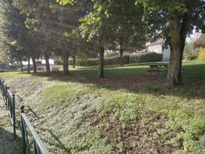 Aire de Villemaur sur vanne - CP B Collombet (13).jpg B Collombet