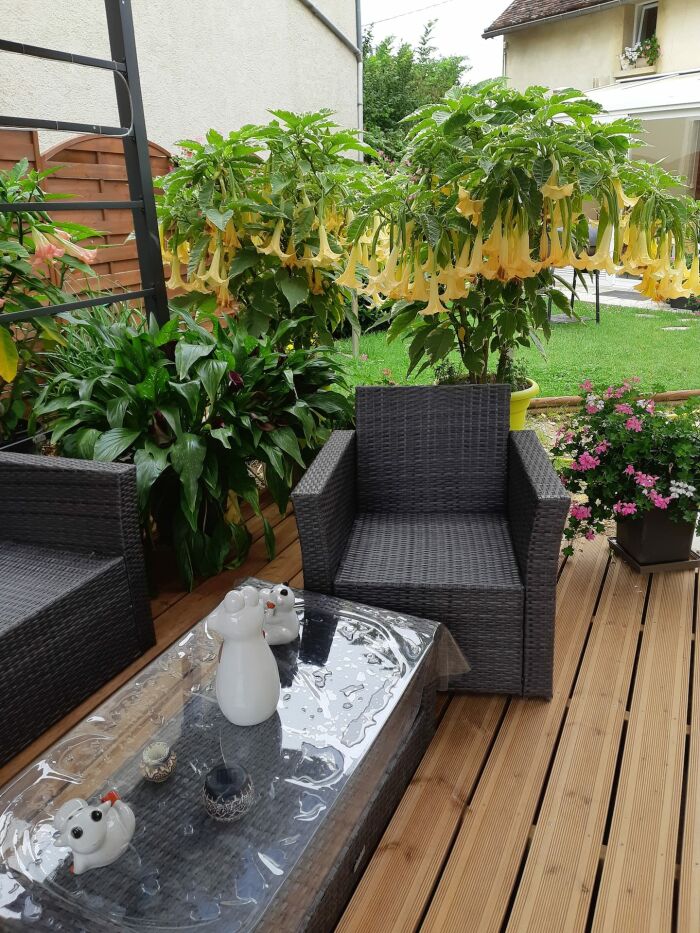 Appartement chaleureux.jpg Appartement chaleureux
