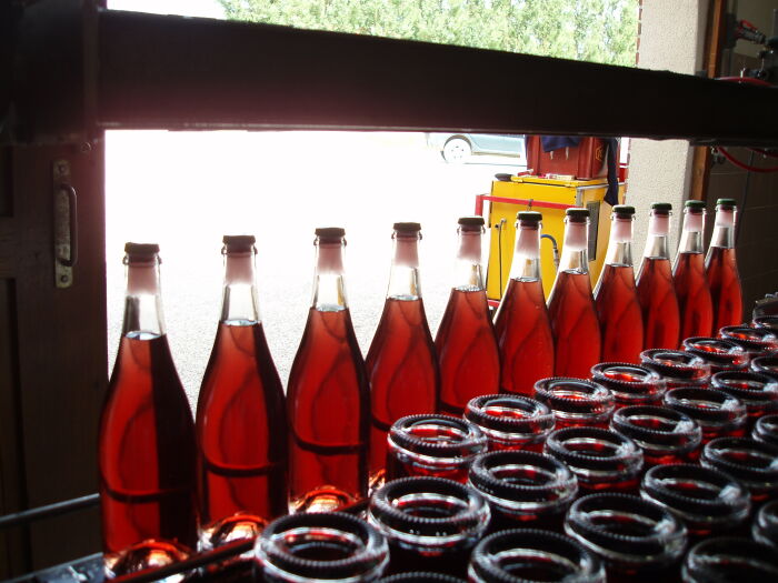 Champagne Dumont.jpg Champagne Dumont