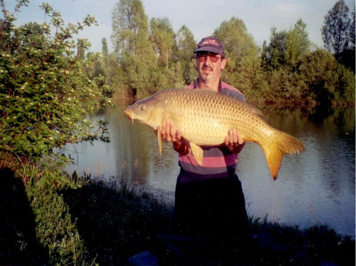 Carpe commune de 13kg à la pâture.jpg G. BESNARD